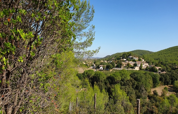 Languedoc, fonds de commerce à vendre