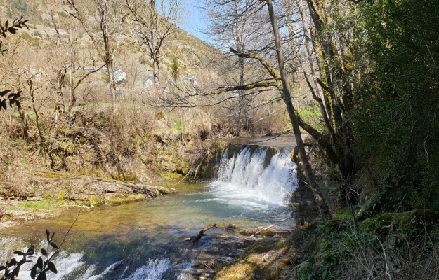 Occitanie fond de commerce à vendre
