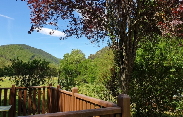 Roussillon, fonds de commerce en vente