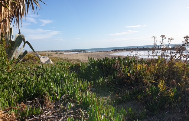 Languedoc-Roussillon, camping en vente