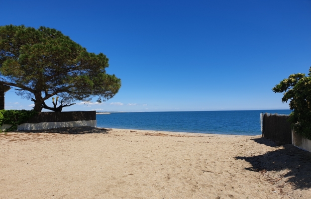 Occitanie, fonds de commerce en vente