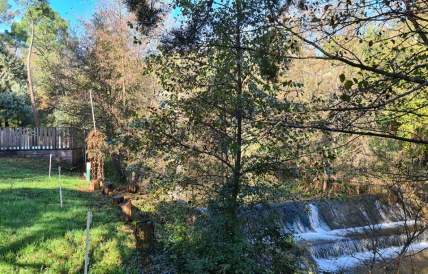 Arrière-pays Languedocien camping en vente