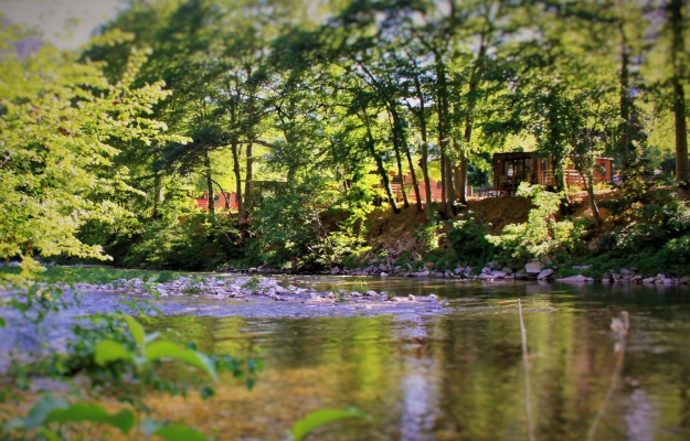 A vendre en Occitanie camping au coeur de la nature